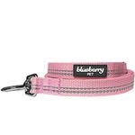 Blueberry Pet 3M Reflective Pastel Color Dog Leash with Soft & Comfortable Handle, 4 ft x 1", Baby Pink, Large, Leashes for Dogs