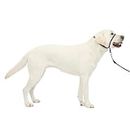 PetSafe Gentle Leader No-Pull Dog Headcollar - The Ultimate Solution to Pulling - Redirects Your Dog's Pulling for Easier Walks - Helps You Regain Control - Large, Charcoal