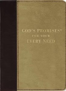 God's Promises for Your Every Need, Deluxe Edition: A Treasury of Scripture for Life