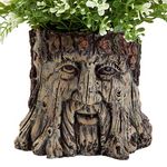 Bits and Pieces - Tree Face Garden Planter - Durable Polyresin Indoor-Outdoor Urn for Plants - Forest Inspired Whimsical Garden Décor