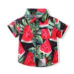 Sanqidu 1-5Y Toddler Baby Boys Button Down Shirts Hawaiian Watermelon Print Aloha Summer Trip Short Sleeve Dress Shirt Tops (Red, 1-2 Years)