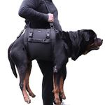 Canine Carriers