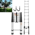 Portable Telescoping Ladder, 20ft/6