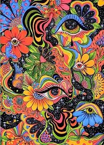 Paint by Number for Adults. DIY Acrylic Painting Kit for Kids and Adults Beginner Eyes – 16” x 20”with 3 Brushes and Bright Colors