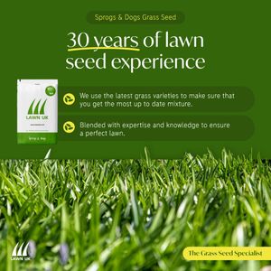 Lawn UK Hardwearing Grass Seed 500g – Durable Lawn Repair