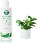 Philodendron Fertilizer - Indoor Ho