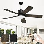Obabala Ceiling Fans with Lights an