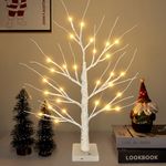 SKYELE Christmas Twig Tree with Lights, 60cm White Birch Tree Lights Battery Operated and USB Powered with 28 Warm White LEDs Ornament/ 2 Modes/Timer for Xmas Home Party Wedding Tabletop Decorations