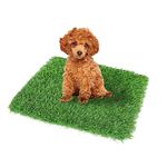 GLOBREEN Fake Grass for Small Dog 48.3cm X 73.6cm, Puppy Artificial Turf for Pets Potty Training, Reusable Drainage Wasable, Indoor Outdoor Use