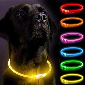 LED Dog Co