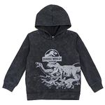 Jurassic World Dinosaur T-Rex Fleece Pullover Hoodie Toddler to Big Kid, Gray, 6