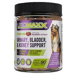 Bladder For Dogs