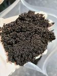 5 litres- Fresh Worm Castings for P