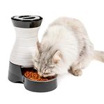 PetSafe Cat Bowls