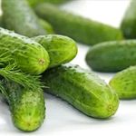 Welldales 10 Mini Cucumber Seeds UK Snack Gherkin High Yield Hanging Outdoor Anulka F1