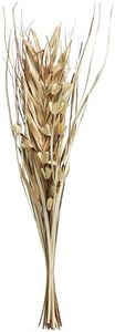 Deco 79 Dried Plant Palm Leaf Handmade Home Decor Natural Foliage Tall Floral Grass Bouquet Natural Dried Foliage, Foliage for Decoration 8" x 3" x 38", Light Brown