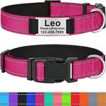 Taglory Personalized Dog Collars fo