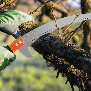 Walensee Pole Saw, 426cm Extendable Tree Pruner