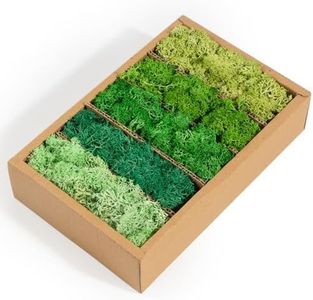 AIYONG Muschio Islandese, 5 Diversi Colori, 200g Vero Muschio Naturale Artificiale, Autentico, Durevole, Conservato per il fai da te Decorazione per Pasqua, Muschio, Modellismo, halloween, Natalizia