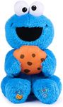 GUND Sesame Street Official Peek-a-