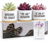 Birthday Gifts for Women Birthday Unique, Gifts for Her, Christmas Gardening Gifts for Women, Personalized Friendship Gifts for Her, Cadeau Femme, Anniversary Funny Gift Set for Women