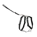PetSafe 3 in 1 Dog Harness - No Pull Solution for Dogs - Reflective Dog Harness - Front D-Ring Clip Helps Stop Pulling - Comfortable Padded Straps - Top Handle Enhances Control - Black - Medium