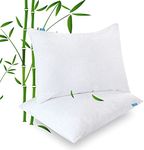 Biloban 2 Pack Waterproof Zippered Pillow Protectors Standard Bed Bug Proof, Bamboo Viscose Pillow Covers for Sleeping Noiseless Breathable Pillow Protector White, 20 x 26 inches