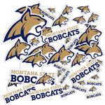 Desert Cactus Montana State University Stickers Bobcats MSU Vinyl Decals Laptop Water Bottle Car Scrapbook T1 (Type 1-1)