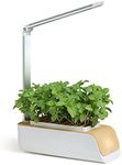 Staright Hydroponics Growing System, Indoor Herb Garden Kit with Grow Light, Smart Garden for Home and Kitchen, Indoor Plant Growing System, Herb Grower Vegetable Gardening System