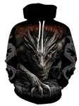 JSJCHENG Men's Hoodie 3D Gpaphic Casual Hooded Pullover Sweatshirt Sweater(Dragon,Large-X-Large)