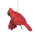 Midwest-CBK Cardinal with Berries F