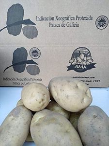 Patata Gal