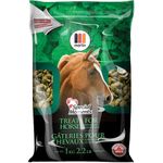 Special Moments Horse Treats, Peppermint Flavour (1kg)