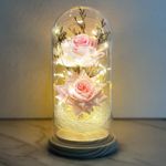 Eternal Rose Enchanted Sparkly Flower Artifical, Beauty And The Beast Infinity Galaxy Preserved Roses Lamp, Forever Glass Dome Gifts For Anniversary Mothers Women Girlfriend Wife Her Birthday