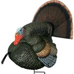 Primos Strutter Turkey Decoy, Ultra-Realistic Lightweight Decoy with Silk Fan and Ground Stake Included