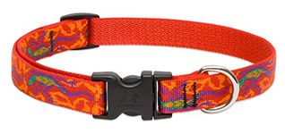 LupinePet Originals 3/4" Go Go Gecko 13-22" Adjustable Collar for Medium and Larger Dogs