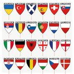 AK Giftshop Football Euro Toppers Decorations 24 National Team Food Picks Flags (24 Pack)