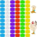 180pcs Chicken Leg Bands, Multicolor Chicken Leg Rings, 16 mm Clip On Chicken Identification Leg Bands Poultry Leg Bands, Ankle Rings for Birds Ducks Chicks