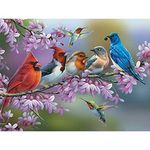 Bits and Pieces - 500 Piece Jigsaw Puzzle for Adults 18" x 24" - Birds On A Flowering Branch - 500 pc Cardinals Bluebird Hummingbird Flowers Jigsaw by Artist Oleg Gavrilov