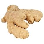 Fresh Ginger Roots from Tropical Rainforest - China - 250g