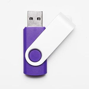 32GB Púrpura USB 2.0 Flash Drive Venta al por mayor Lote de memoria a granel