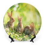 LIGUTARS Ceramic Plates, Animal Decor Decorative Ceramic Plates, Funny Rabbits Bunny Family on Daisies Grass, 7 Inch, for Dining, Parties, Wedding, Green Tan