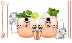 BOLD & DIVINE Copper Plated Moscow Mule Mugs Set of 2 | 18 Oz | Hammered Copper Cups with 304 Stainless Steel Lining and Gold Brass Handles | Copper Straws, Mixing Spoon, Shot Glass & Cleaning Brush