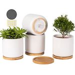 AOMRYOM 4 Inch Ceramic White Cylinder Plant Pots with Drainage Holes and Bamboo Trays, Matt Modern Flower Planter for Succulent, Indoor Plants, Cactus, Herbs, Set of 4 (Plant Not Included)