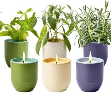 Modern Sprout - 2-in-1 Soy Candle & Planter - 3-Pack Indoor Set (Violet Hour, in The Weeds, Golden Moments) 6 Oz Scented Candles with Lavender, Sage & Mint Seeds – 38–40 Hr Burn Each
