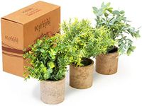 Kitzini Artificial Plastic Mini Plants Unique Fake Fresh Green Grass Flower in Grey Pot for Home Décor – Set of 3