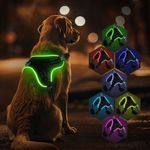 Light Up Dog Harness No Pull Dog Harness Rechargeable Lighted Pet Vest Harness for Night Walking, Reflective Dog Vest Glow Dog Collar, Adjustable Soft Padded Leash, 7 Colors Changing, 3 LED Modes (S)