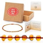 Baltic Amber Necklace 12.5 inches -