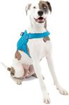 Kurgo Molle Clip Compatible Dog Har