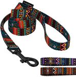 CollarDirect Aztec Dog Leash Nylon Tribal Pattern Cat Pet Leashes for Small Medium Large Dogs Puppy Lead 5 FT Long for Walking (Ethnic Teal, L, New)